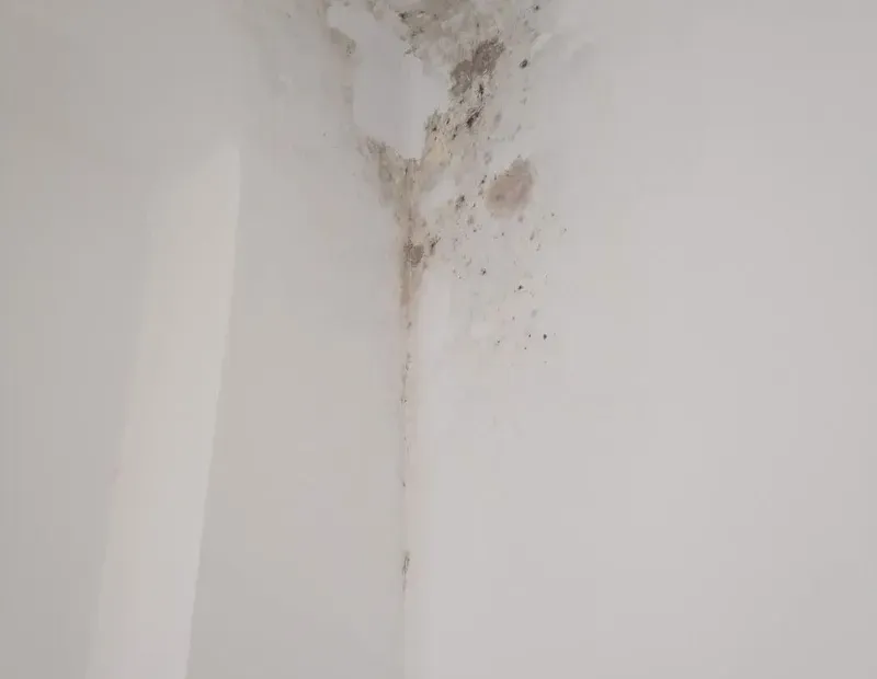 Daños por humedad y moho en el techo de una vivienda causados por rotura de tubería comunitaria en comunidad de propietarios