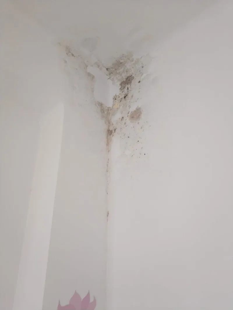 Daños por humedad y moho en el techo de una vivienda causados por rotura de tubería comunitaria en comunidad de propietarios